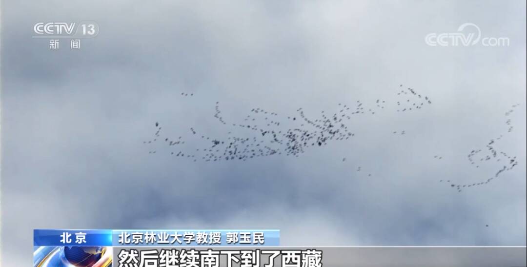 2023011713076481.jpg 4_九雷图片转换器.jpg