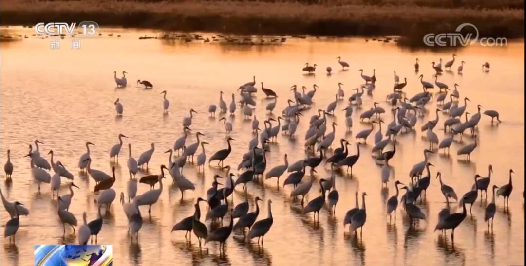 2023011715217108.jpg 13_九雷图片转换器.jpg