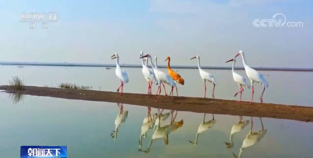 2023011716405934.jpg 8_九雷图片转换器.jpg