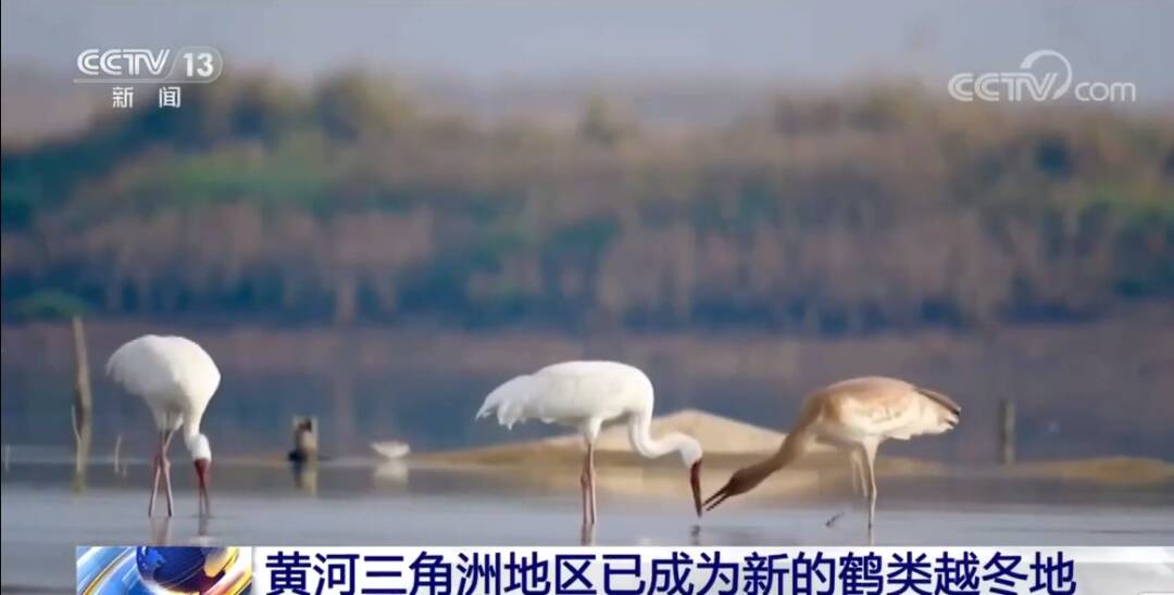 2023011716875595.jpg 14_九雷图片转换器.jpg