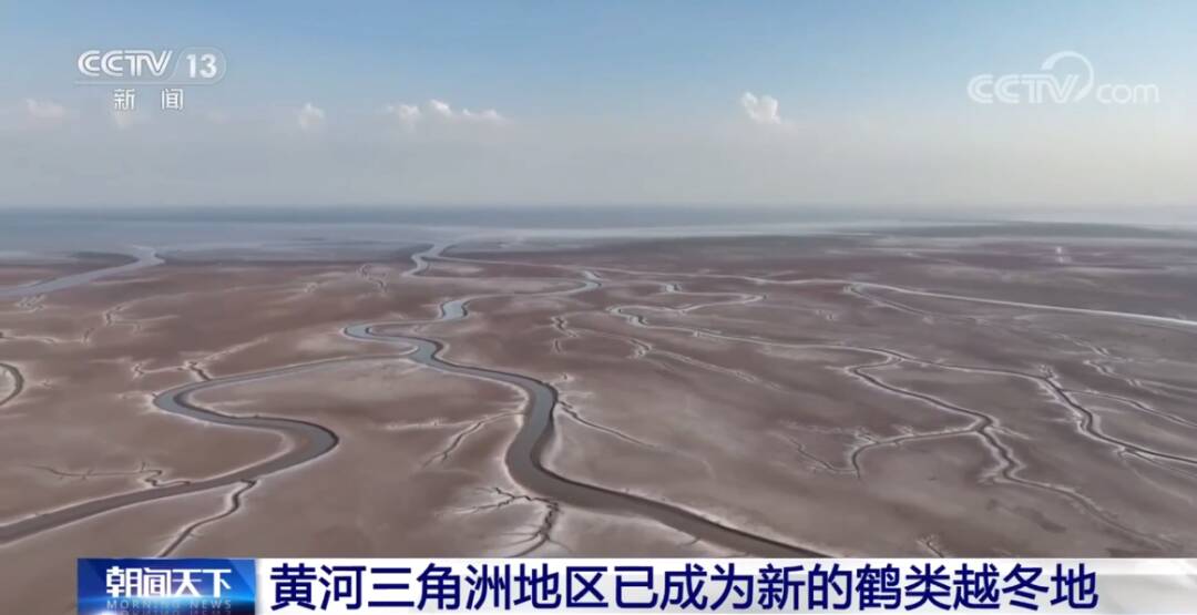 2023011719041213.jpg 11_九雷图片转换器.jpg