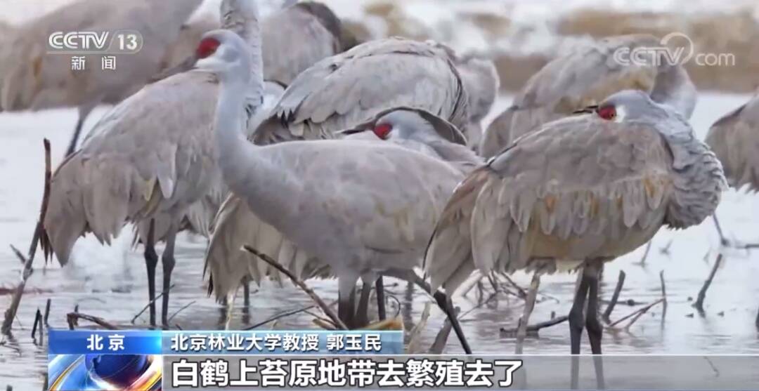 2023011722821529.jpg 9_九雷图片转换器.jpg