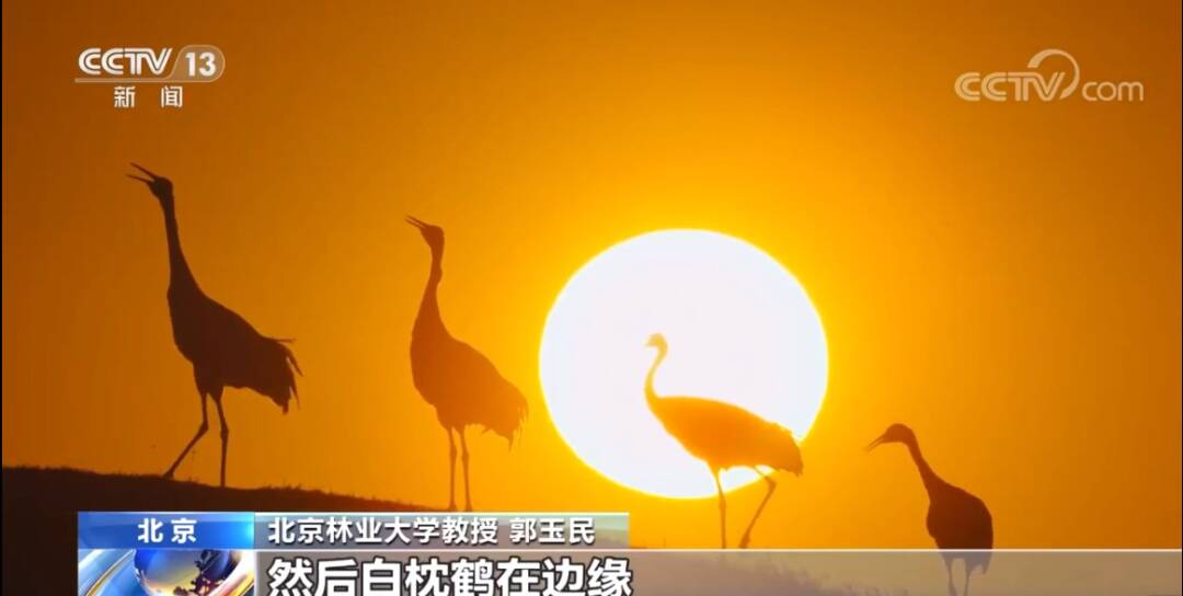 2023011756973591.jpg 10_九雷图片转换器.jpg