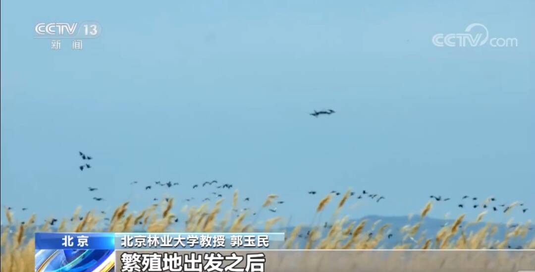 2023011765570905.jpg 3_九雷图片转换器.jpg