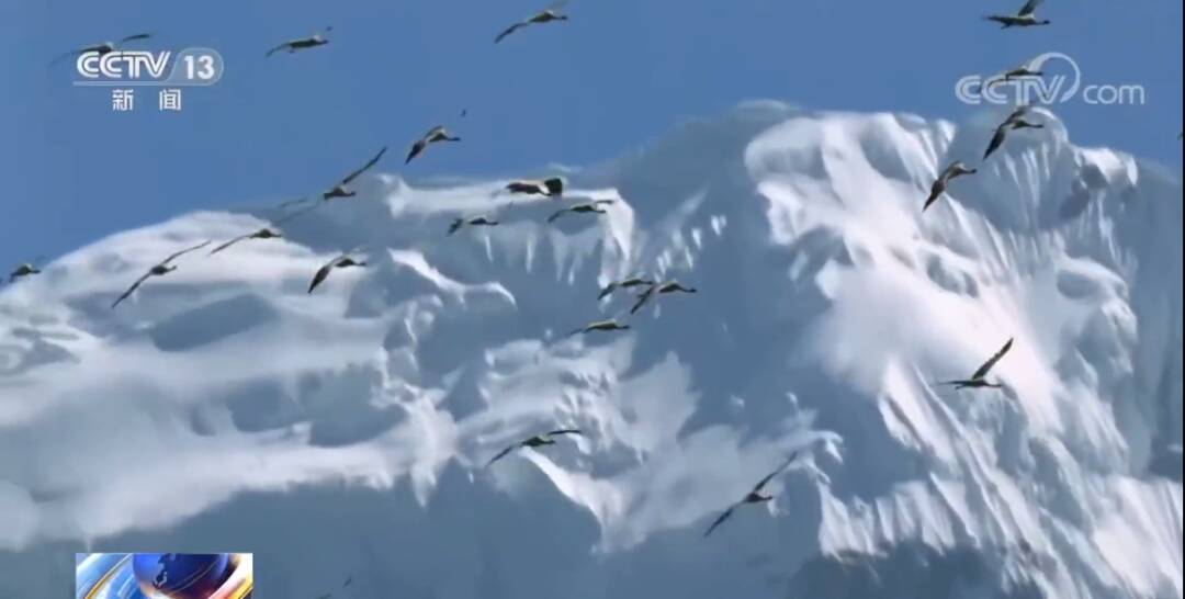 2023011779959480.jpg 5_九雷图片转换器.jpg