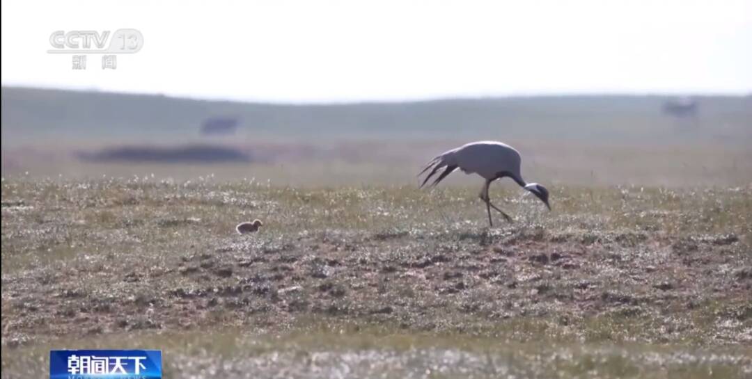 2023011788052763.jpg 15_九雷图片转换器.jpg