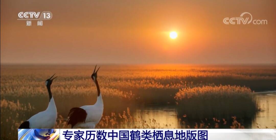 2023011793720364.jpg 7_九雷图片转换器.jpg