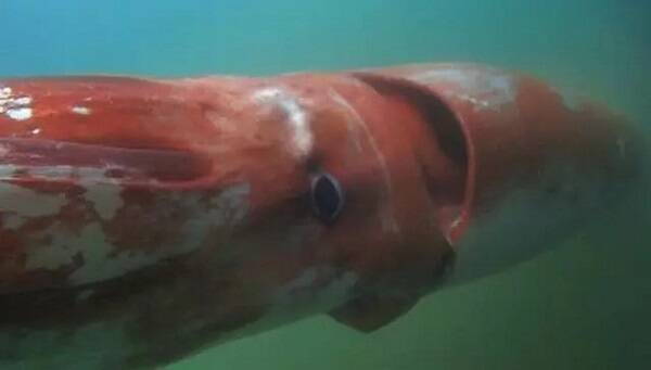 2023011912153966.jpg 4_九雷图片转换器.jpg