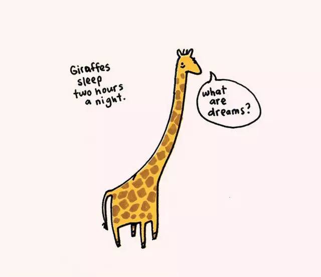 2023011912320721.jpg 1.jpg