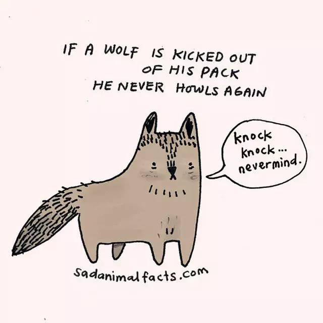 2023011913323060.jpg 12.jpg