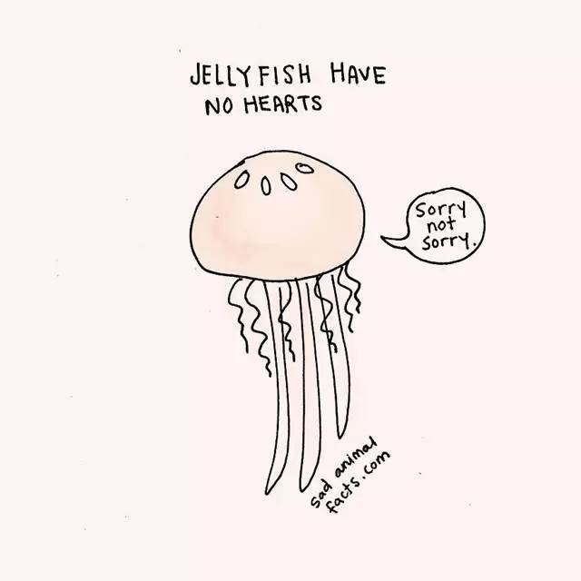 2023011916006563.jpg 9.jpg