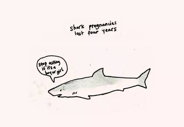 2023011917318719.jpg 7.jpg