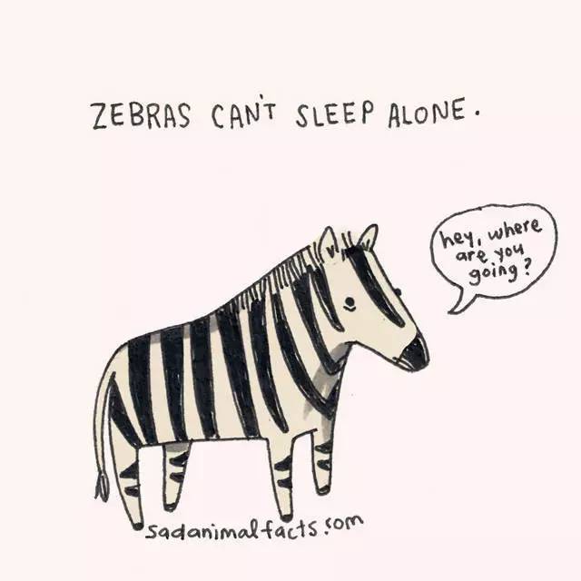 2023011920223673.jpg 8.jpg