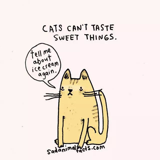 2023011920756874.jpg 13.jpg