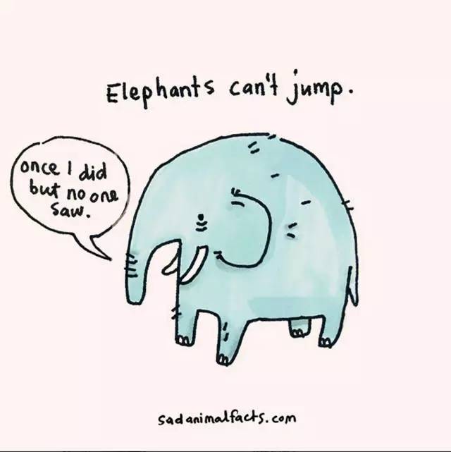 2023011966756925.jpg 14.jpg