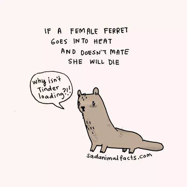 2023011968516323.jpg 6.jpg