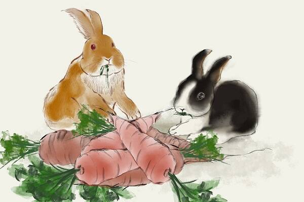 2023012015069204.jpg 6_九雷图片转换器.jpg