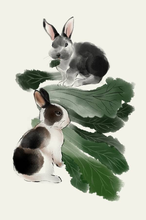 2023012015245226.jpg 7_九雷图片转换器.jpg