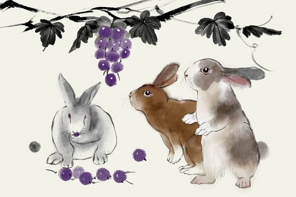 2023012037082517.jpg 5_九雷图片转换器.jpg