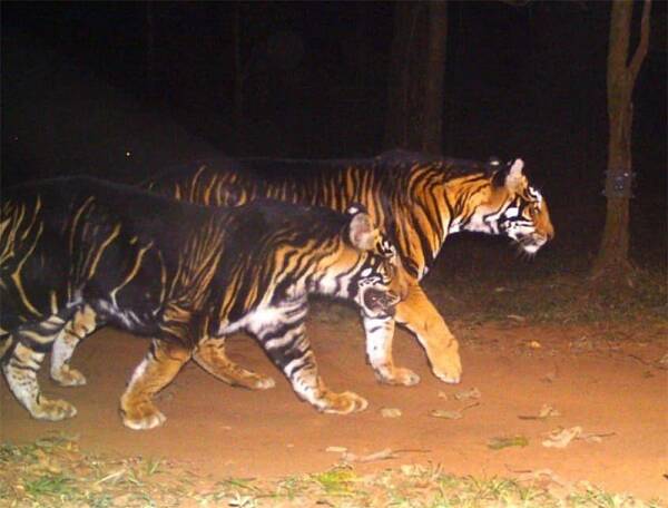 2023012812016763.jpg 5_九雷图片转换器.jpg