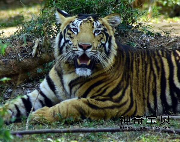 2023012838740378.jpg 3_九雷图片转换器.jpg