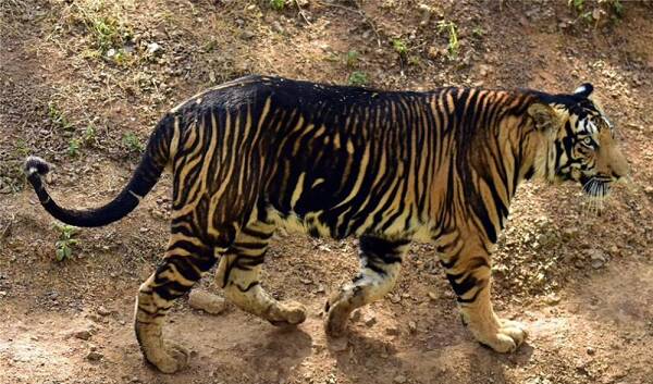 2023012856492581.jpg 4_九雷图片转换器.jpg