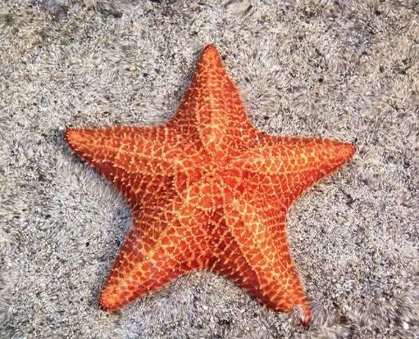 2023012918421975.jpg 15_九雷图片转换器.jpg