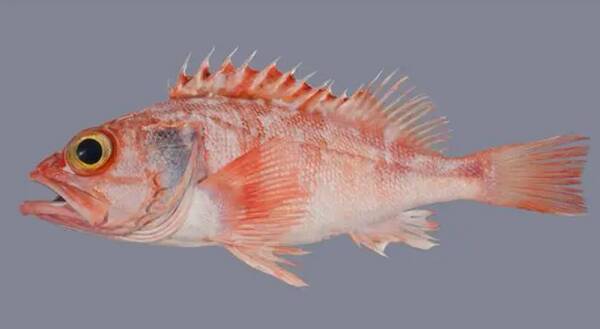 2023012920911963.jpg 8_九雷图片转换器.jpg