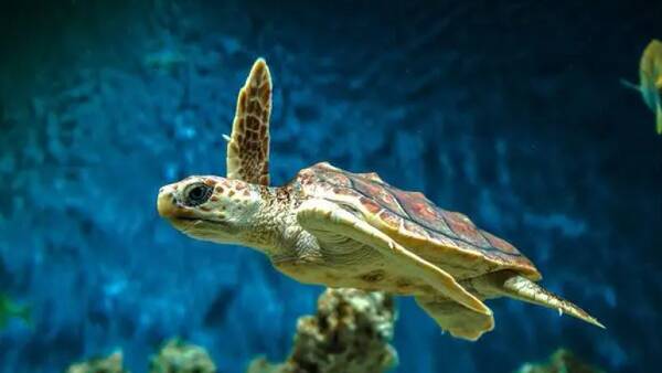 2023012964407371.jpg 13_九雷图片转换器.jpg