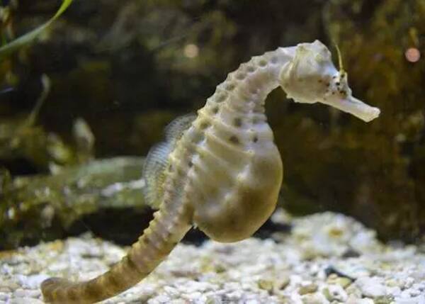 2023012966531085.jpg 11_九雷图片转换器.jpg