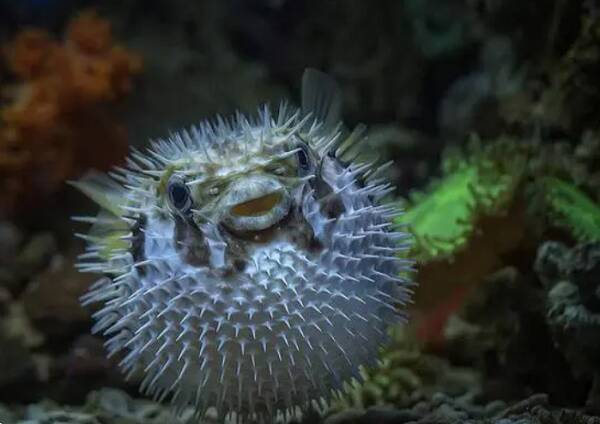 2023012996042691.jpg 4_九雷图片转换器.jpg