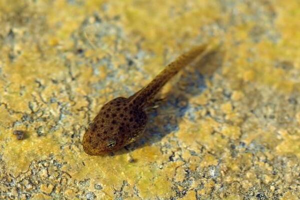 2023012997311653.jpg 2_九雷图片转换器.jpg