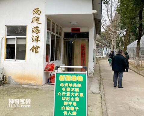 2023020413686420.jpg 2.jpg