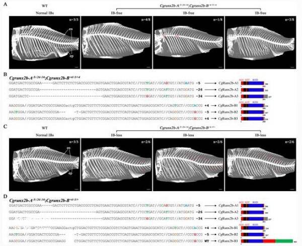 2023020452407298.jpg 2_九雷图片转换器.jpg