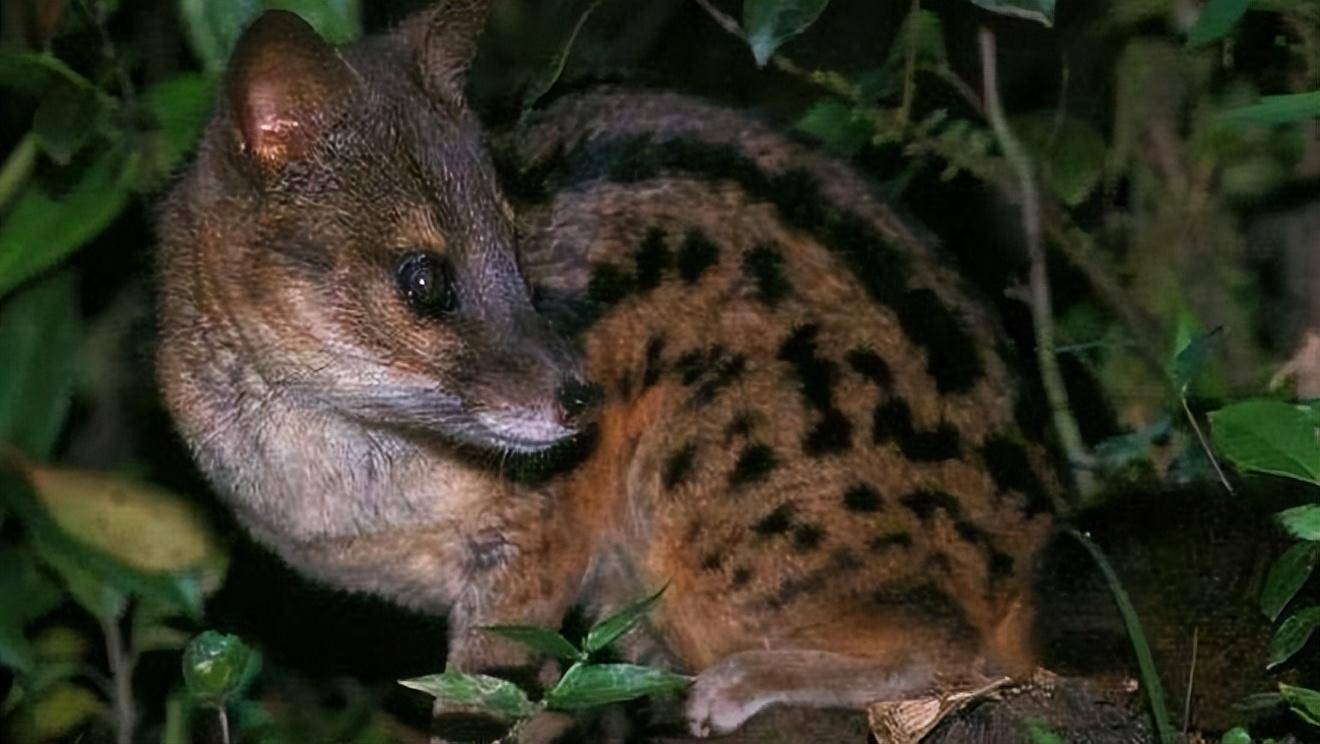 2023020712485245.jpeg 20230204204815167551489550976.jpeg