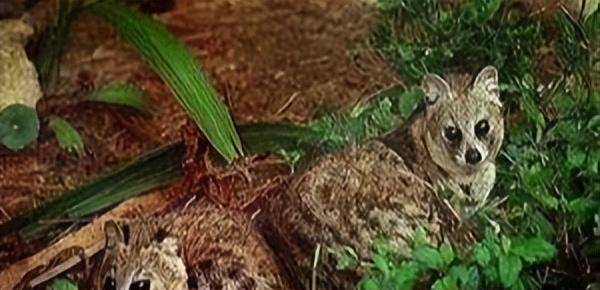 2023020780555883.jpeg 20230204204816167551489633635.jpeg