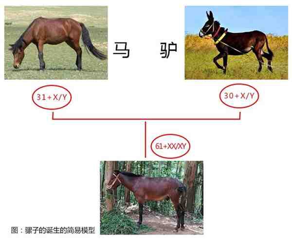 2023021416355612.jpg 3.jpg