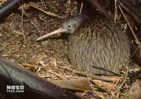 2023021417238971.jpg 1.jpg