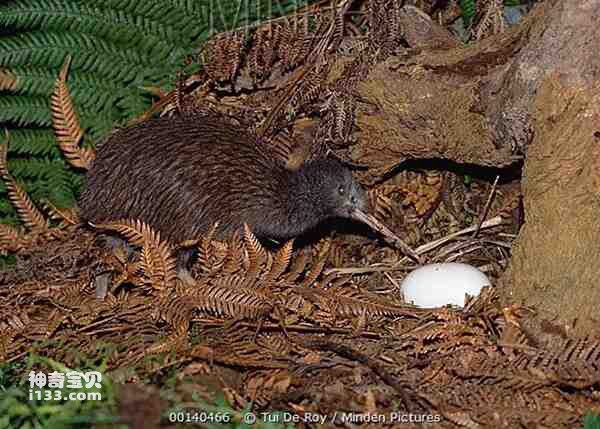 2023021419848623.jpg 5.jpg