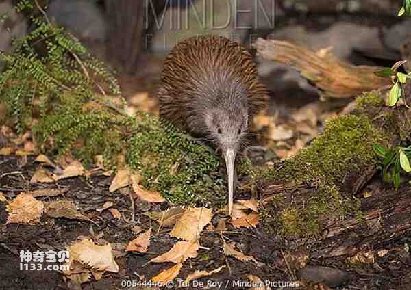 2023021452777123.jpg 3.jpg