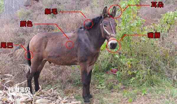 2023021475507846.jpg 4.jpg