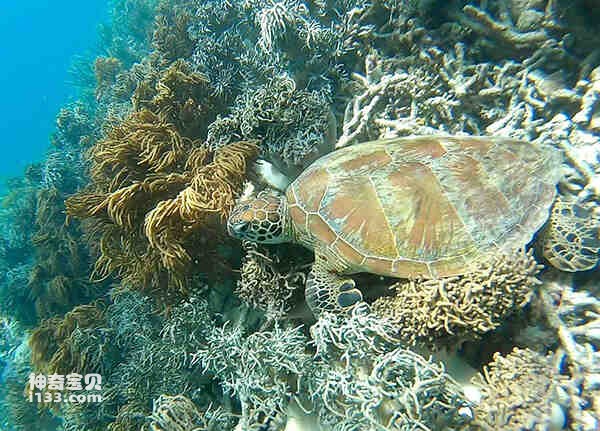 2023021481941336.jpg 4(1).jpg