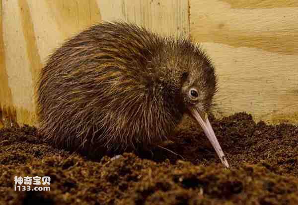 2023021499935166.jpg 4.jpg