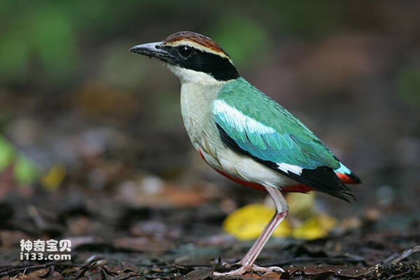 2023021918209451.jpg 1(1).jpg