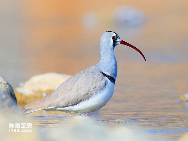 2023021921433014.jpg 2(1).jpg