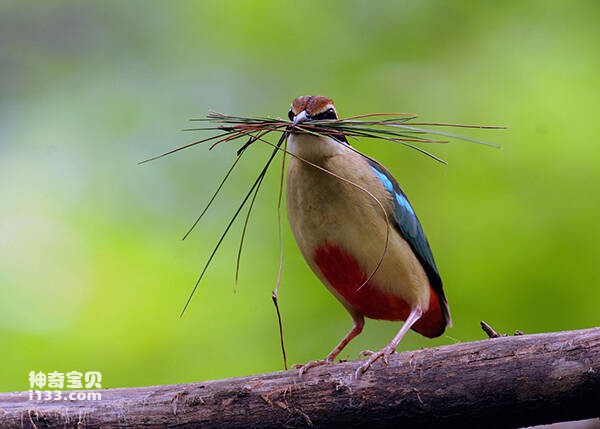 2023021942545057.jpg 2(1).jpg