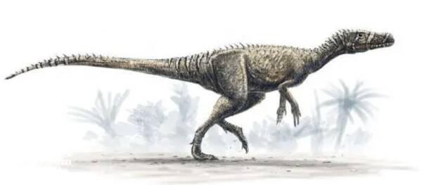 2023030917833632.jpg 屏幕快照 2023-03-09 下午9.02.29.jpg