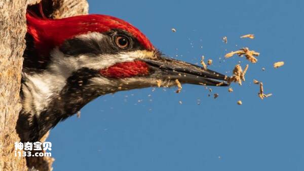 2023030918313644.jpg 2.jpg