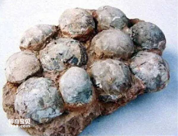 2023030919215422.jpg 屏幕快照 2023-03-09 下午9.00.37.jpg