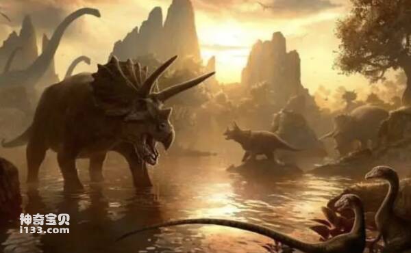 2023030920919189.jpg 屏幕快照 2023-03-09 下午9.03.12.jpg